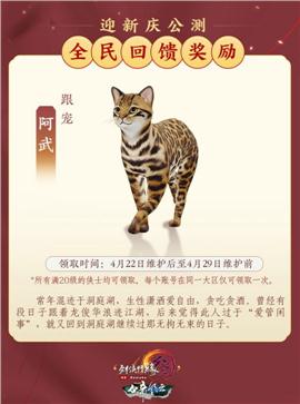 济南 天龙八部私服